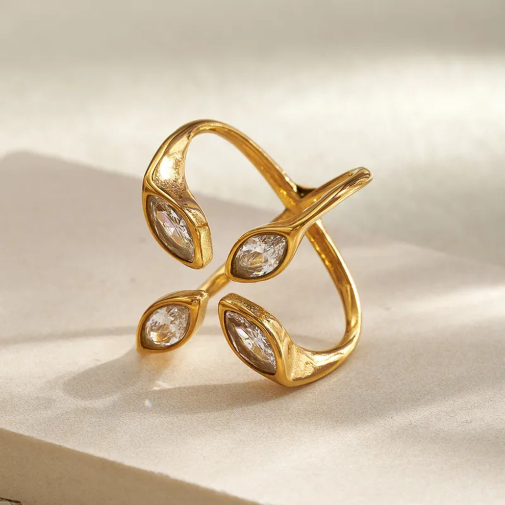 Falak Murabba Ring — view 3