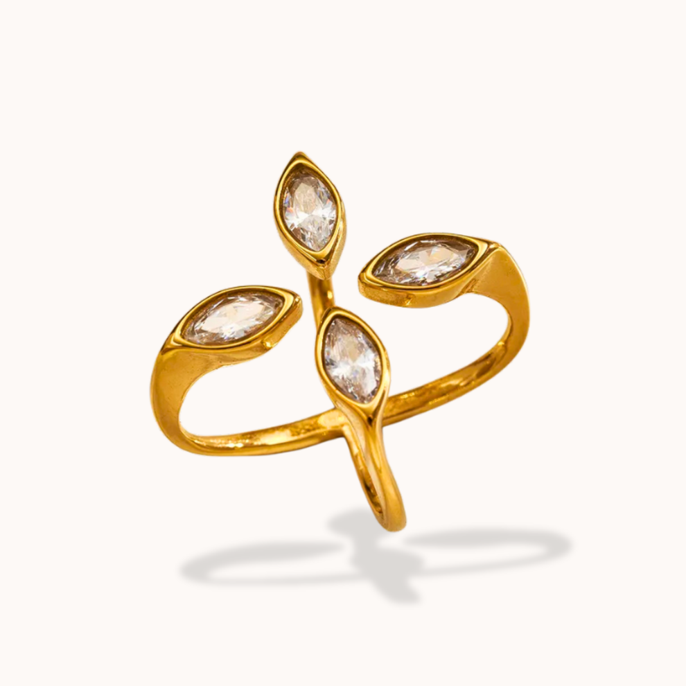 Falak Murabba Ring